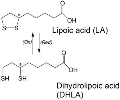 Potential Therapeutic Effects of Lipoic Acid on Memory Deficits Related to Aging and Neurodegeneration